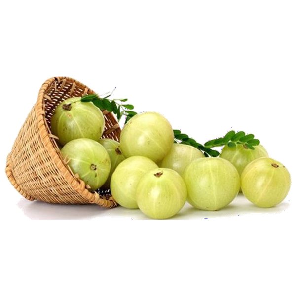 Vestige Amla