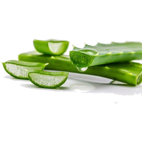 Vestige Aloe Vera
